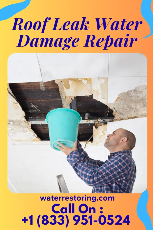 Roof Leak Water Damage Repair in Marfa, TX