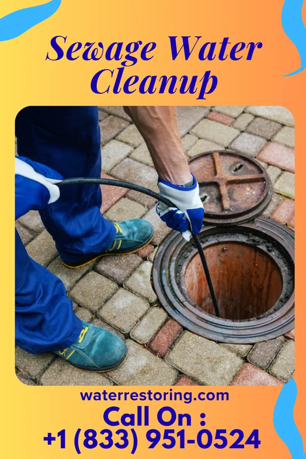 Sewage Water Cleanup in Marfa, TX